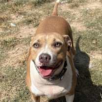 Thumbnail photo of Demi - KA #2