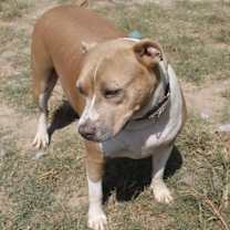 Thumbnail photo of Demi - KA #3