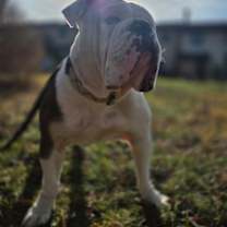 Thumbnail photo of Aleeya #1