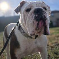 Thumbnail photo of Aleeya #2