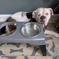 Thumbnail photo of Aleeya #3