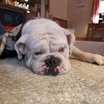 Thumbnail photo of Aleeya #4