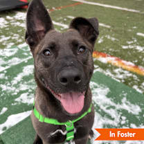 Thumbnail photo of Rainbow SuperNova #1