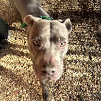 Thumbnail photo of Luanne #4