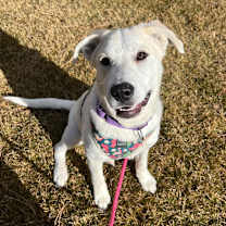 Thumbnail photo of Laura #1