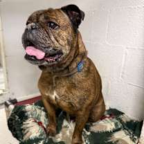 Thumbnail photo of Dwight #1