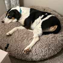 Thumbnail photo of Nico #2