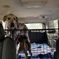 Thumbnail photo of Billie Holiday  #2