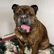 Thumbnail photo of Dwight #3