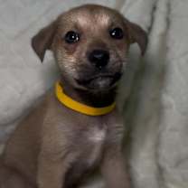 Thumbnail photo of Hamilton #2