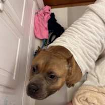 Thumbnail photo of Bacon #3