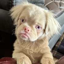 Thumbnail photo of Kaylee #1