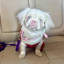 Thumbnail photo of Kaylee #2