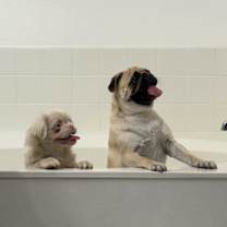 Thumbnail photo of Kaylee #3