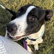 Thumbnail photo of Haruo - KA #3