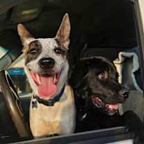 Thumbnail photo of Quest #4