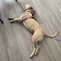 Thumbnail photo of Tilly #2