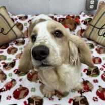 Thumbnail photo of Atlas #1