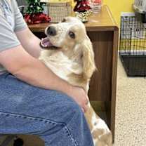 Thumbnail photo of Atlas #2