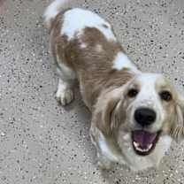 Thumbnail photo of Atlas #3