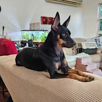 Thumbnail photo of Lucy #3