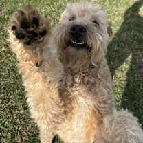 Thumbnail photo of Doug #1