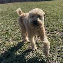 Thumbnail photo of Doug #2