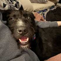 Thumbnail photo of Mr. Narwhal #4