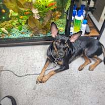 Thumbnail photo of Lucy #4