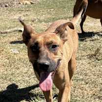 Thumbnail photo of Julia - KA #1