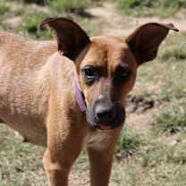 Thumbnail photo of Julia - KA #2