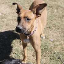 Thumbnail photo of Julia - KA #3