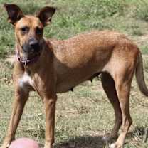 Thumbnail photo of Julia - KA #4