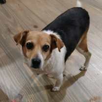 Thumbnail photo of Beatrice #1