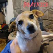 Thumbnail photo of Beatrice #2