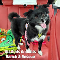 Thumbnail photo of Cash #1