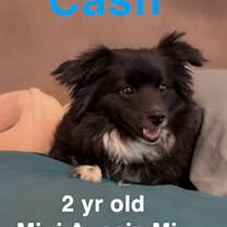 Thumbnail photo of Cash #2