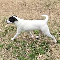 Thumbnail photo of MAX #2