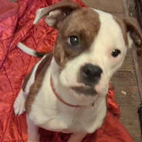 Thumbnail photo of Sheila #1