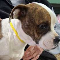 Thumbnail photo of Sheila #2