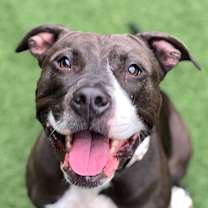 Thumbnail photo of Maisy #1