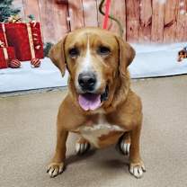 Thumbnail photo of Brentley #1