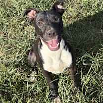 Thumbnail photo of Gumdrop - KA #1