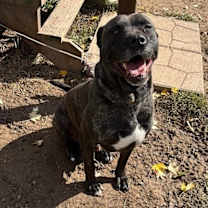 Thumbnail photo of Atlas #1