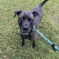 Thumbnail photo of Atlas #2