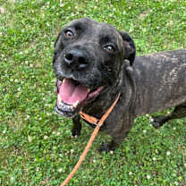 Thumbnail photo of Atlas #3