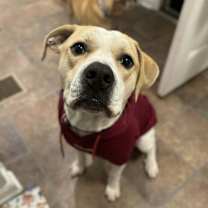 Thumbnail photo of Buddy #3 #1