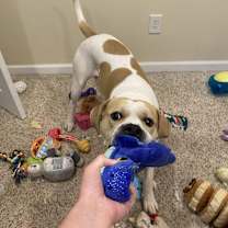 Thumbnail photo of Buddy #3 #3