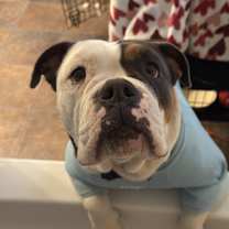 Thumbnail photo of Melon #3