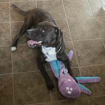 Thumbnail photo of Bonnie #3 #2